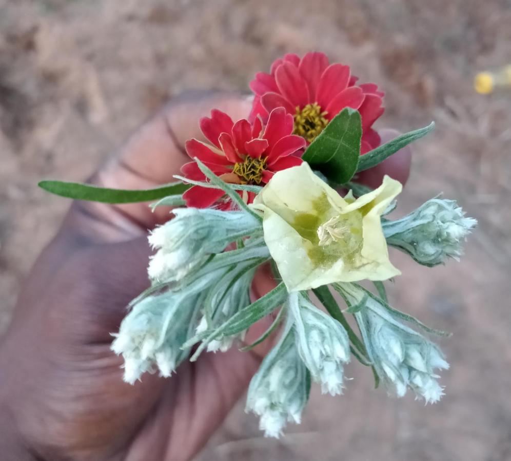 Shalom Place Of Peace Vasfontein 外观 照片