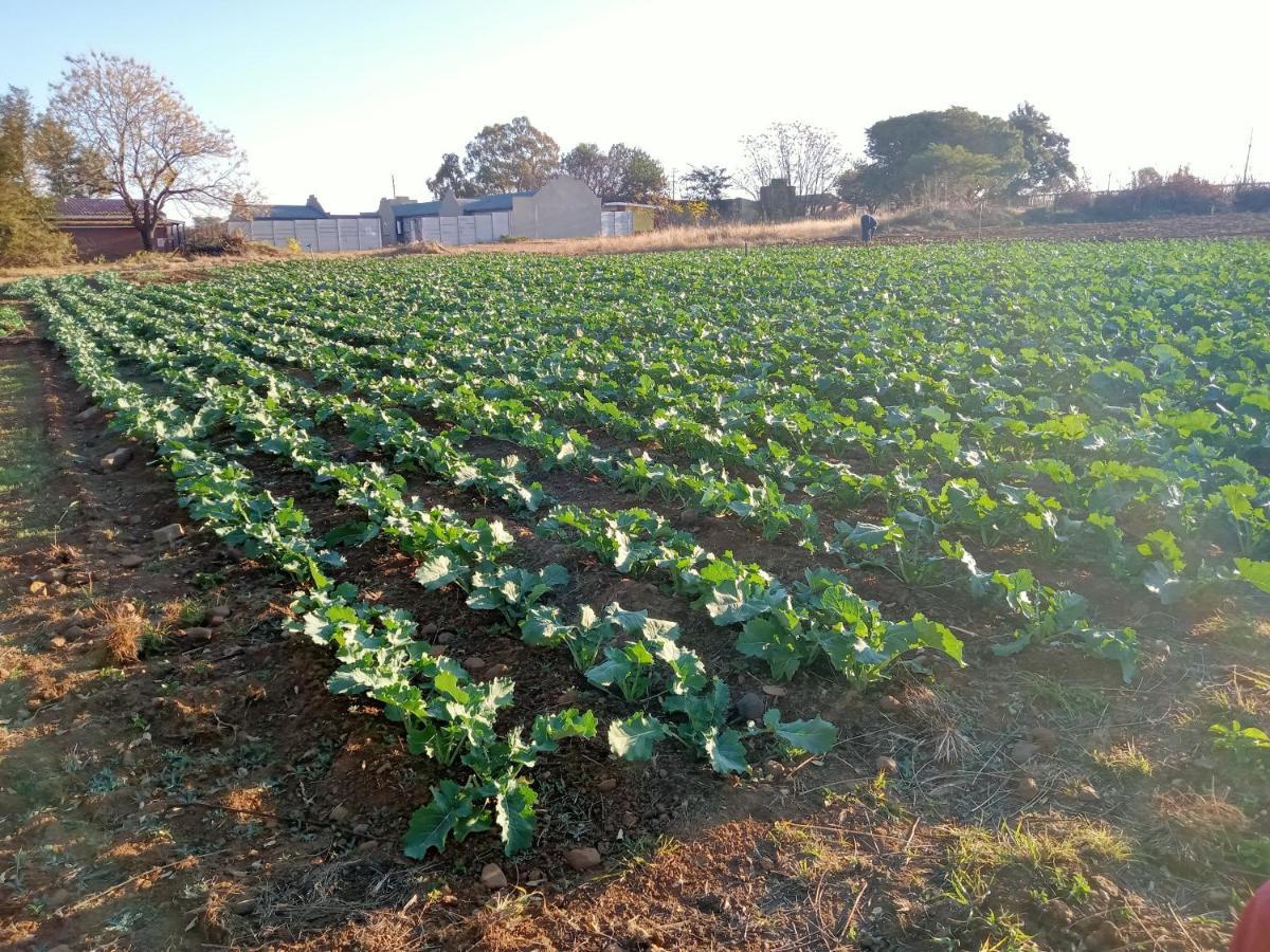 Shalom Place Of Peace Vasfontein 外观 照片