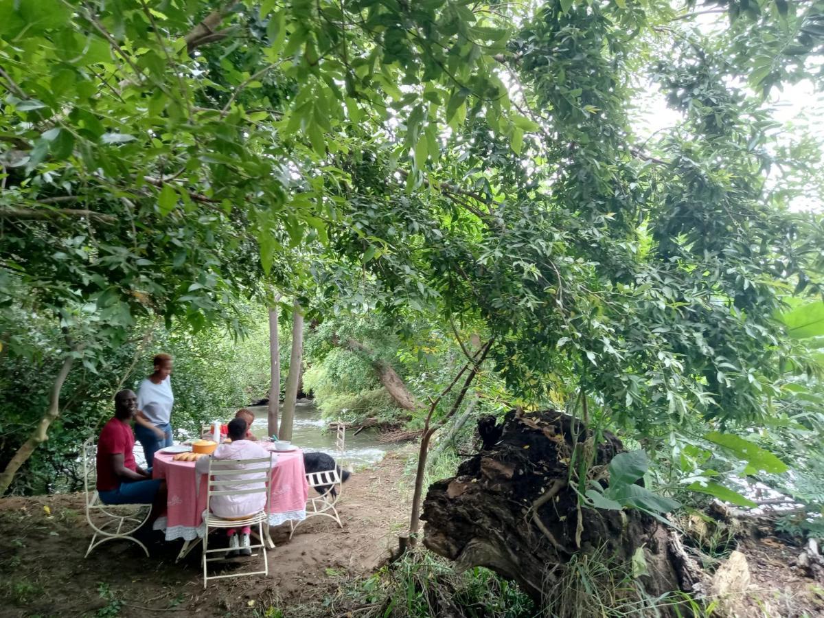 Shalom Place Of Peace Vasfontein 外观 照片